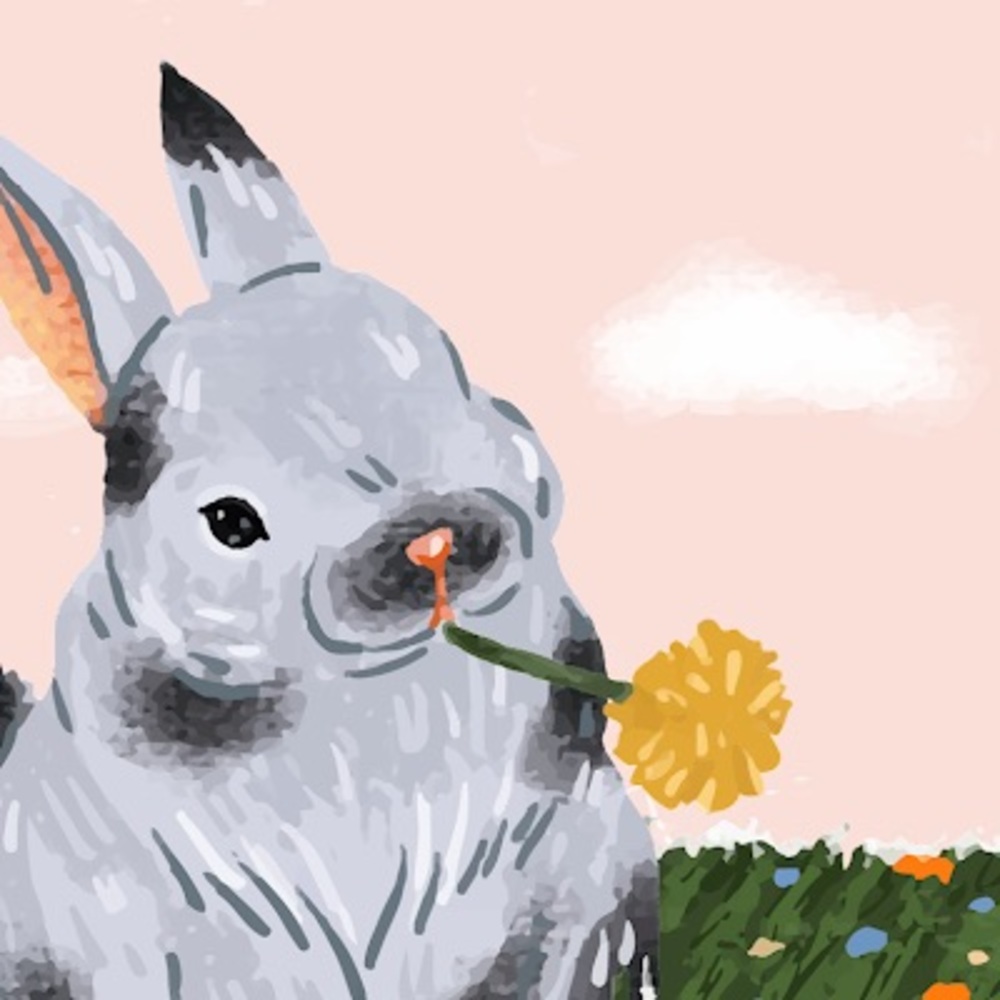 Meet your Posher, Hollie